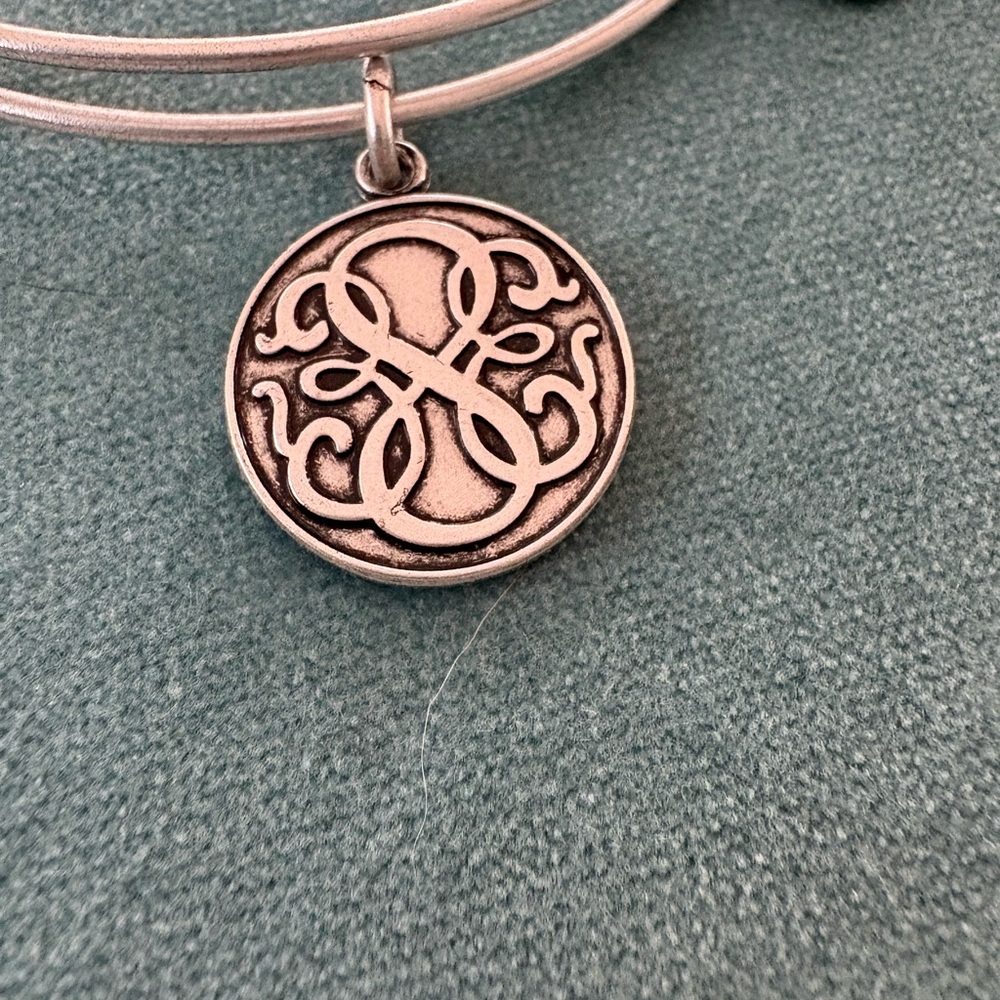 Alex and Ani Path of Life Bracelet - Picture 2 of 6